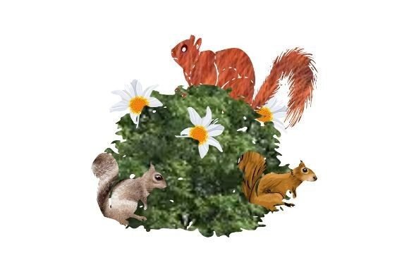 3 Squirrels Playing: A Creative Asset for Designers