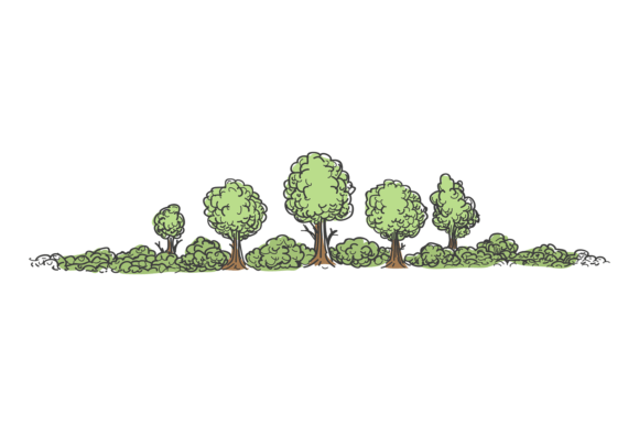 Green Forest Landscape: Summer Trees and Bushes