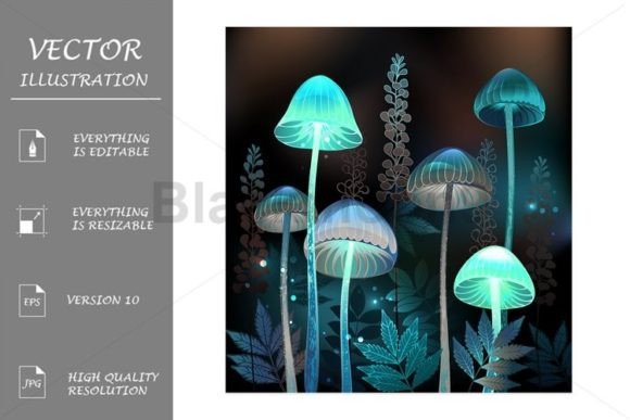 Night Toadstools: A Visual Guide